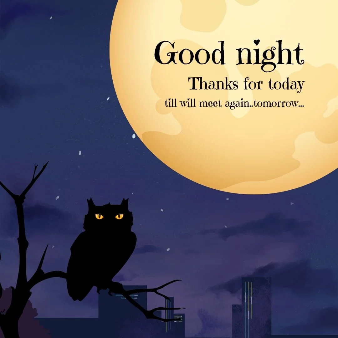 100+ Good night Quote Images frew to download 76